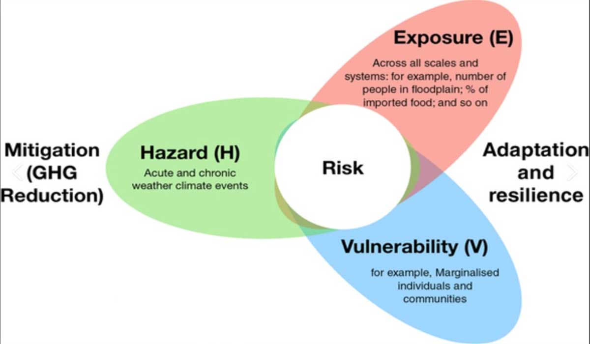 BMKG Siapkan Lebih Dari 10.000 Detektor Siap Selamatkan Kita Dari Bencana Alam