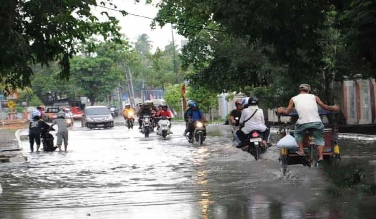 Peran Pemerintah Daerah