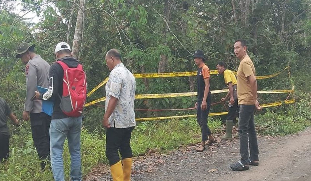 Jalan Penghubung Desa di OKU Selatan Longsor, Warga Diimbau Waspada Melintas